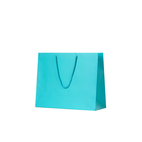 Aqua Matte Carry Bags - Medium